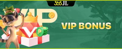 VIP Bonus promotion